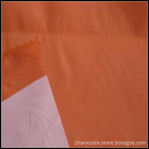 SGS Coated Nylon Taffeta Fabric (ZX-NSF061417)